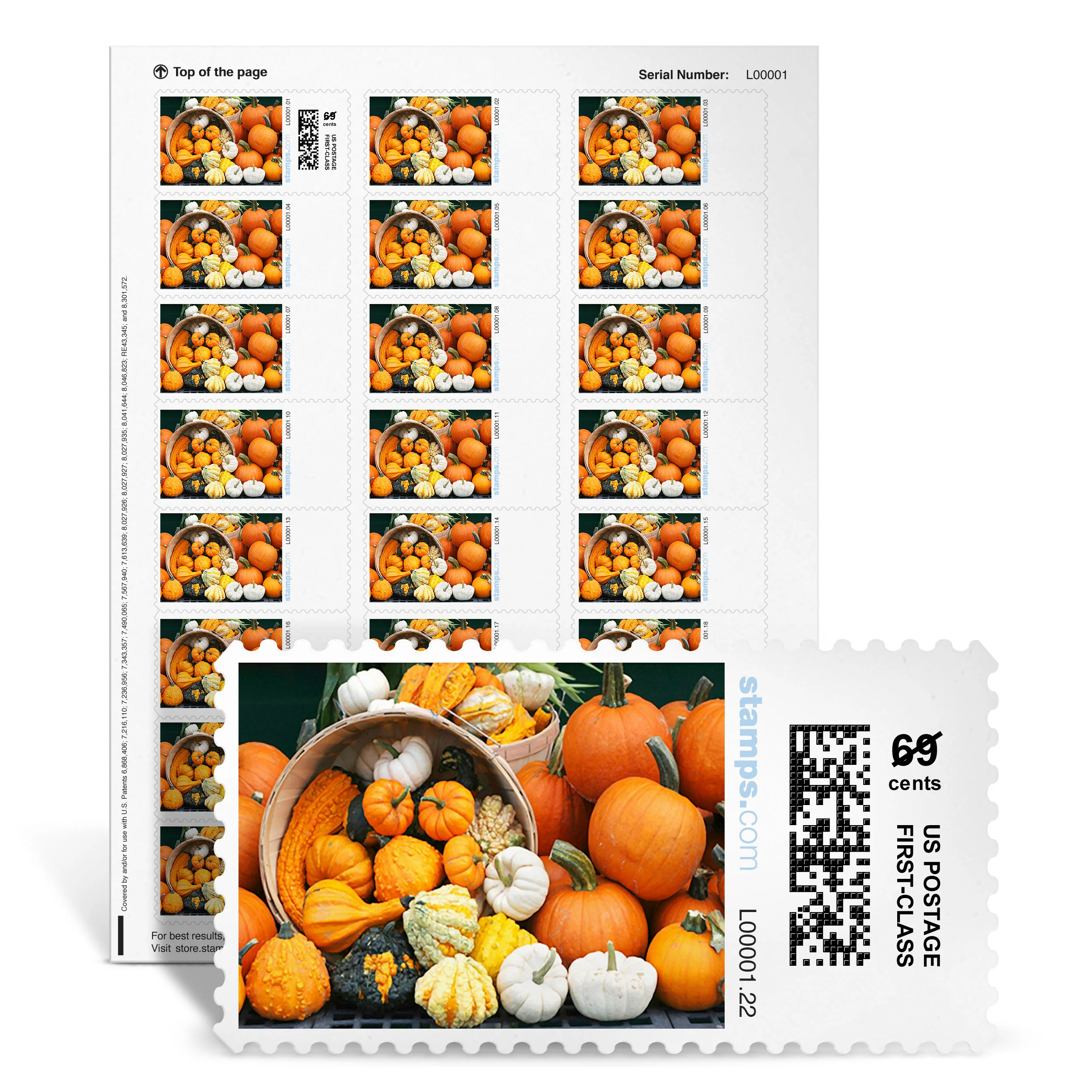 Pumpkins Galore NetStamps